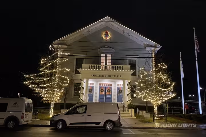 Municipal holiday lights installation in Florida