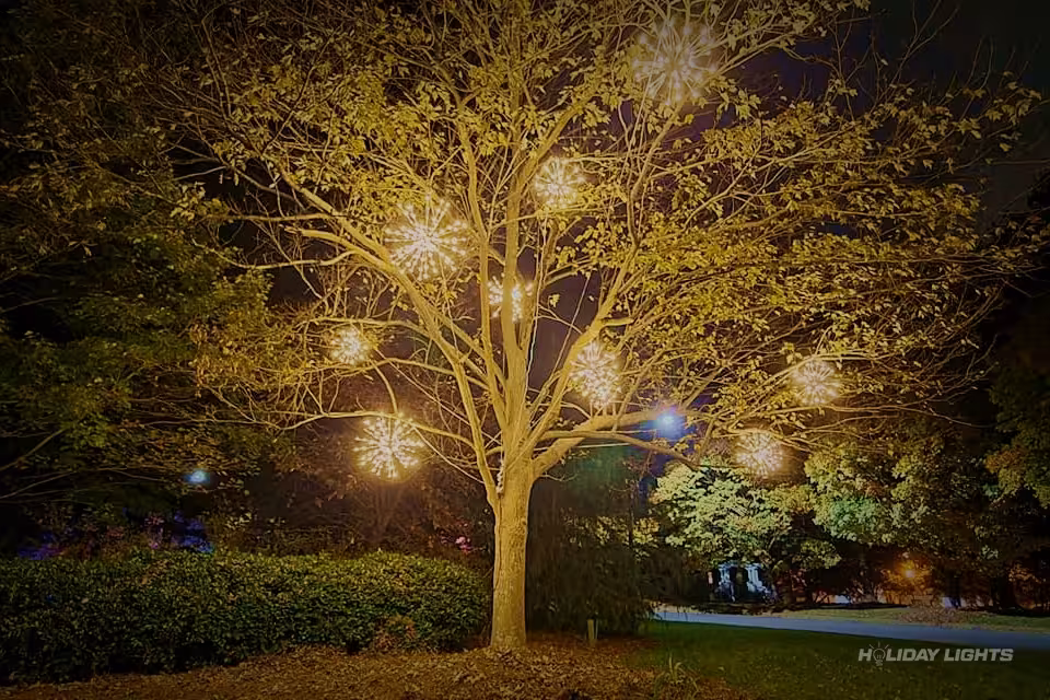 Spritzers Decoration Tree Holiday - Holiday Lights FL