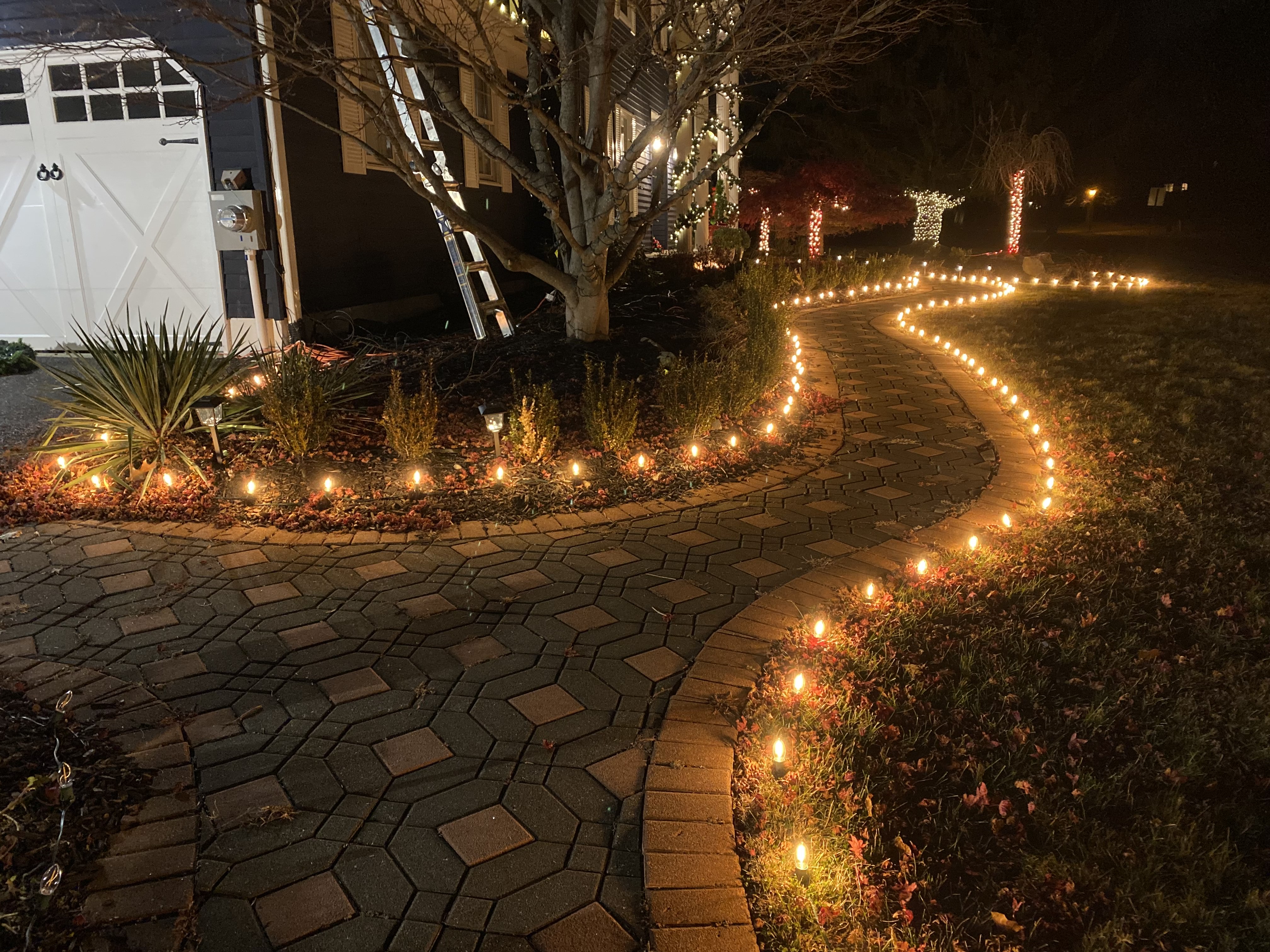 Driveway and pathway Christmas lighting in Jacksonville, FL