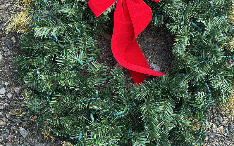 Christmas Greenery