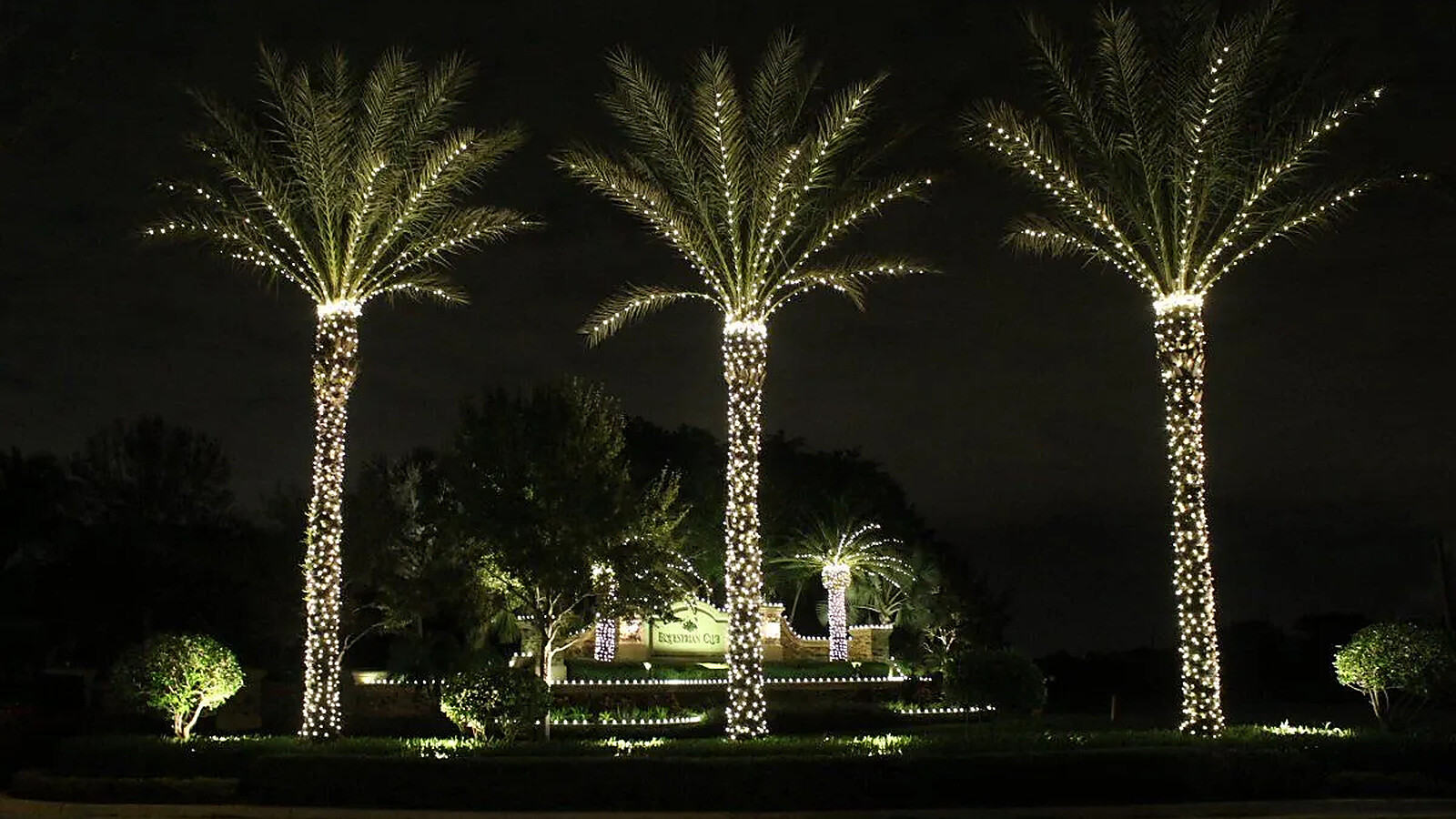A commercial plaza decorated with Christmas lights at night